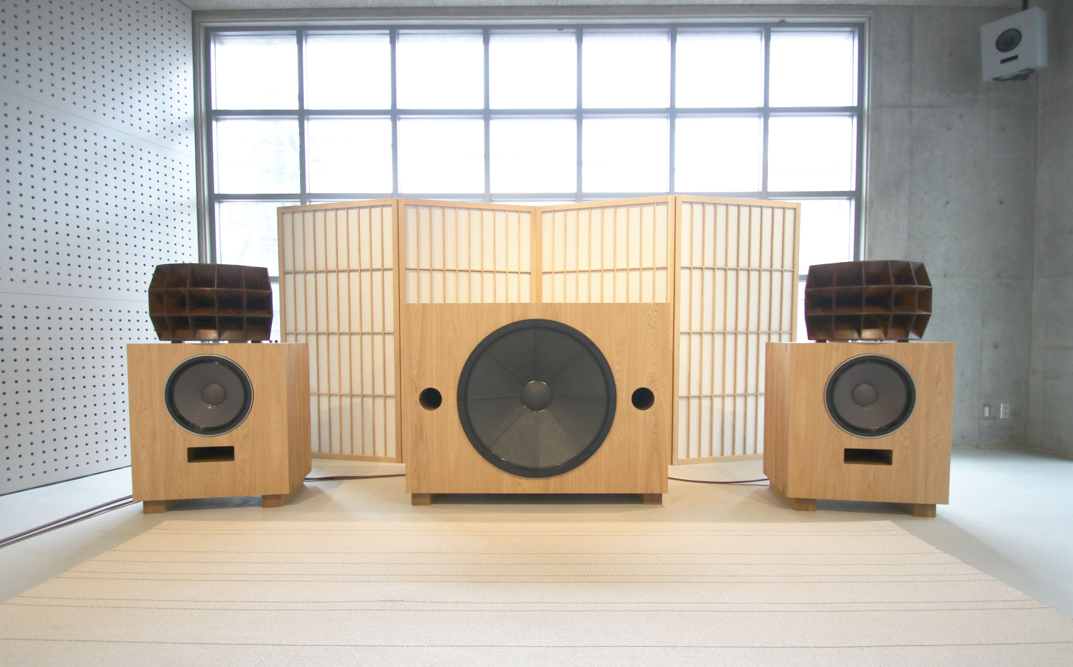 OJAS FOSTEX FW800HS TAD