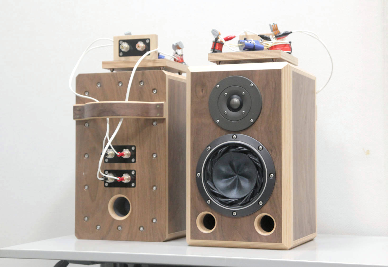 アニソンオーディオフェス2025 DJ SSWANさん