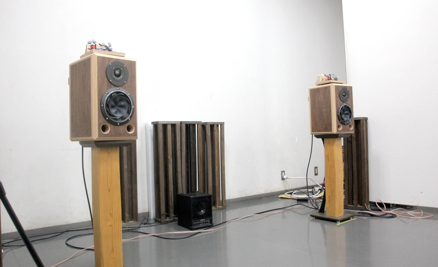 アニソンオーディオフェス2025 DJ SSWANさん