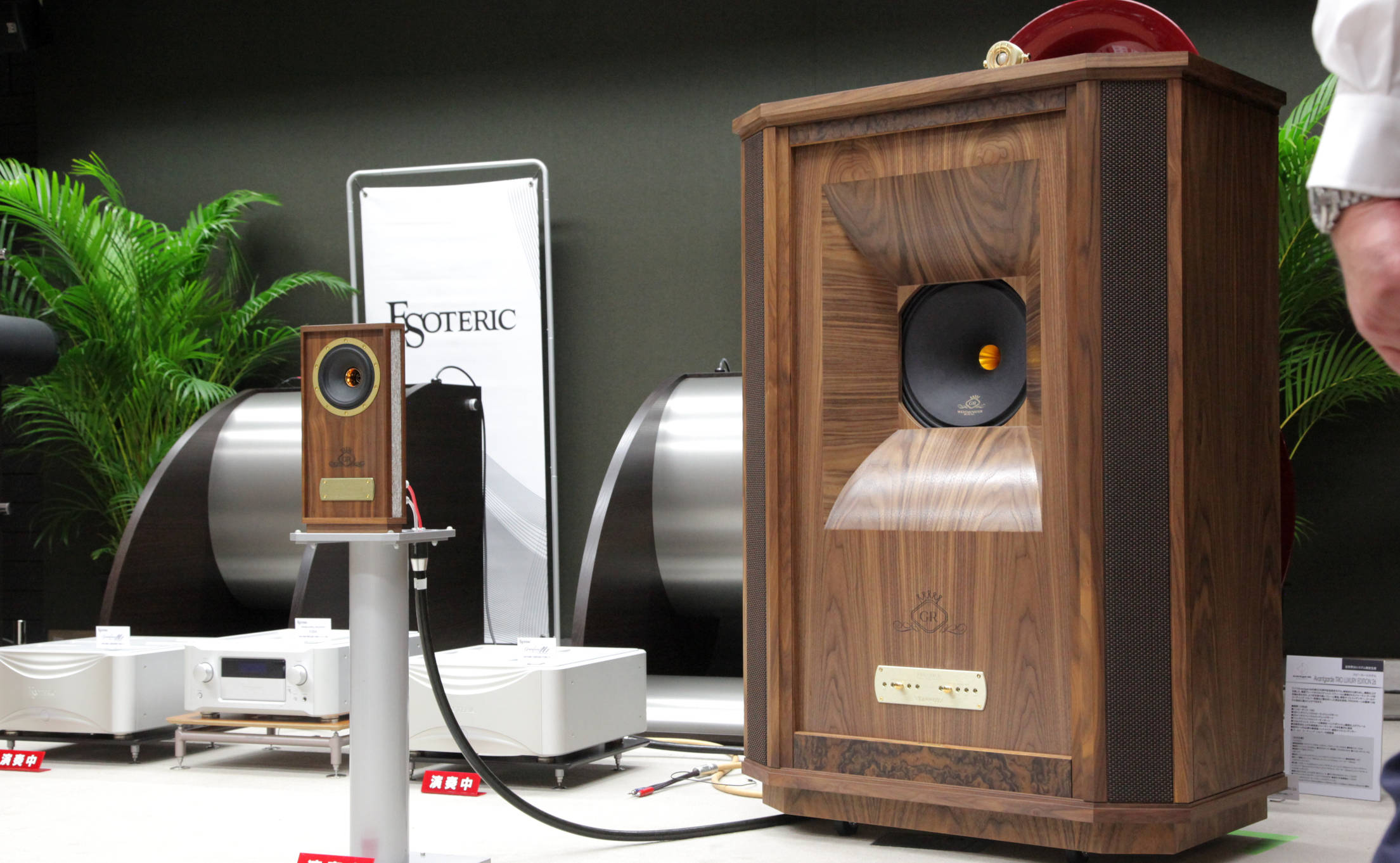 TANNOY Westminster Royal/GR