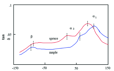 スプルースとメープルの、温度に対する粘弾性の変化